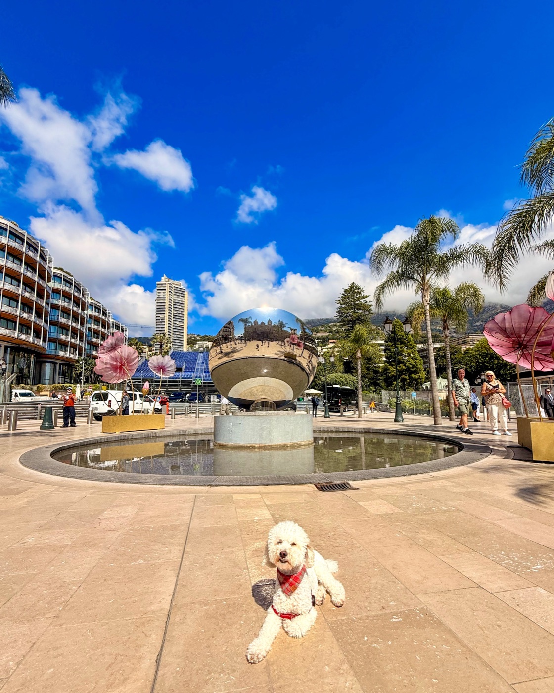 Ollie on our full-time travels