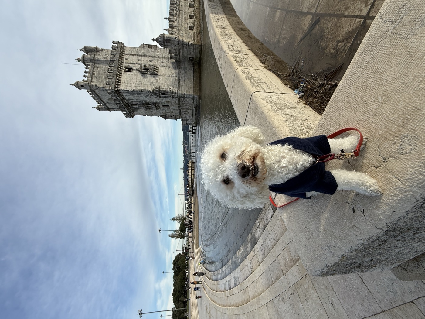Ollie on our full-time travels