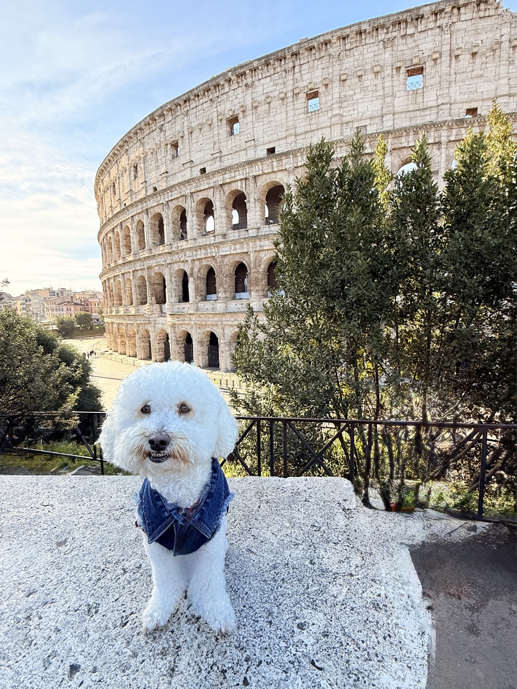 Ollie on our full-time travels