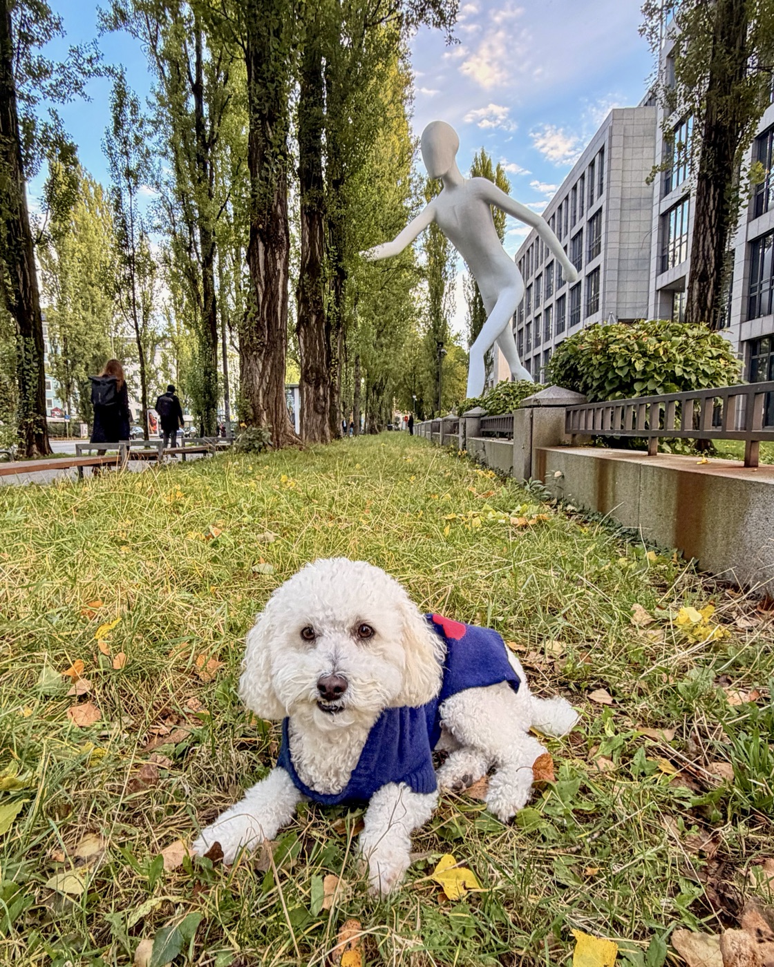 Ollie on our full-time travels
